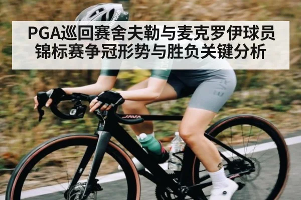 PGA巡回赛舍夫勒与麦克罗伊球员锦标赛争冠形势与胜负关键分析